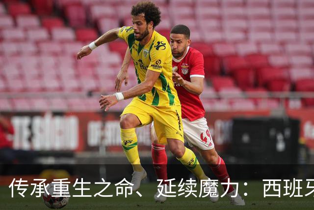 传承重生之命、延续魔力：西班牙 1: 0 阿根尼亚 得冠