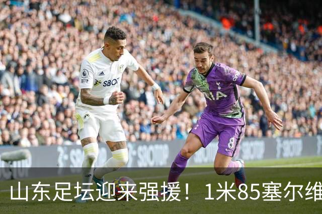 山东足坛迎来强援！1米85塞尔维亚前国脚正式加盟