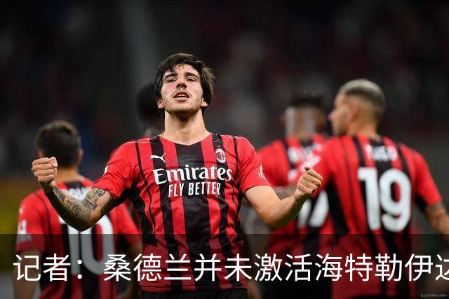 记者：桑德兰并未激活海特勒伊达的2300万欧买断条款，打算压价